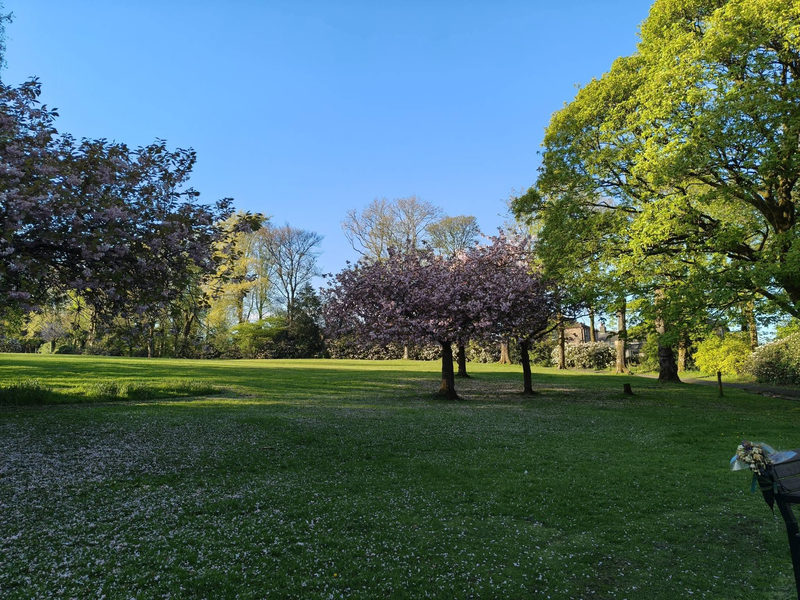 Whittaker park rawtenstall
